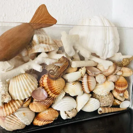 Apartman Fragata Seaview *